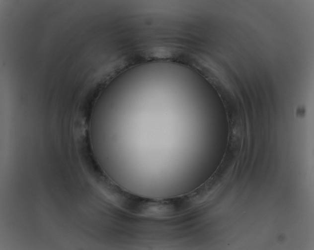 X0000094910555200712131455