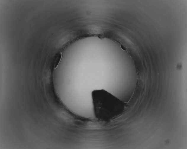 X0000094910556200712131455