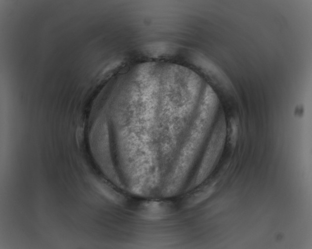 X0000094910558200712131455