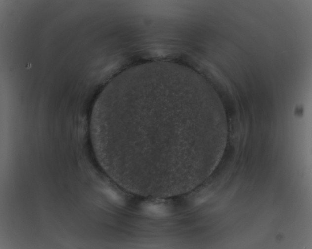 X0000094910563200712131455