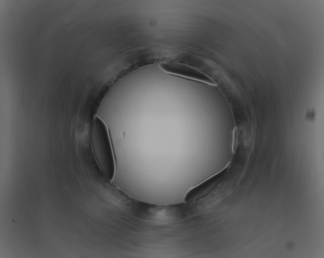 X0000094910564200712131455