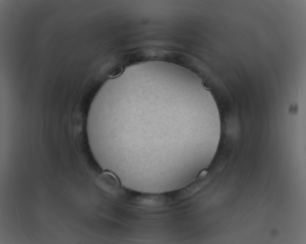 X0000094910567200712131455