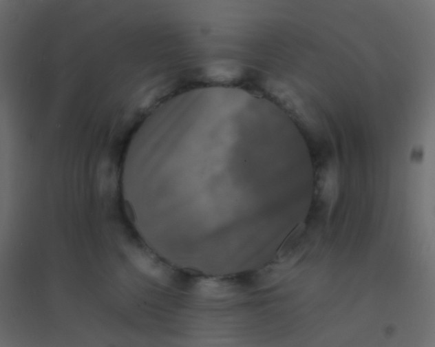 X0000094910568200712131455