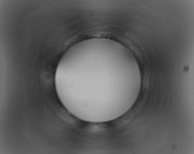 X0000094910569200712131455
