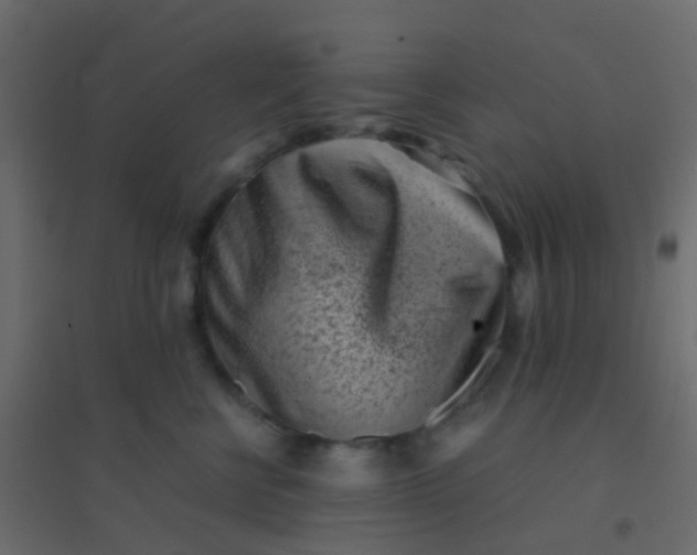 X0000094910570200712131455