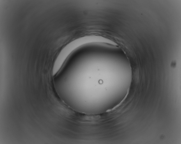 X0000094910571200712131455