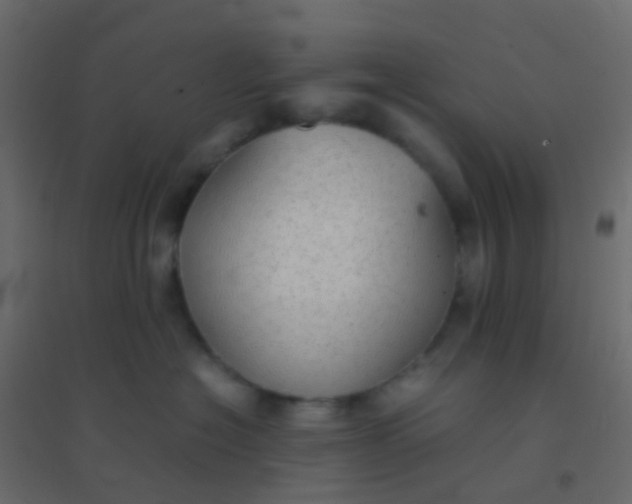 X0000094910574200712131455