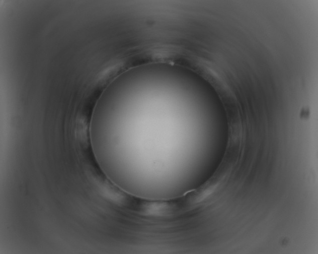 X0000094910575200712131455
