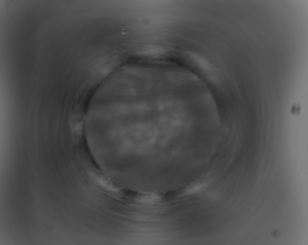 X0000094910576200712131455