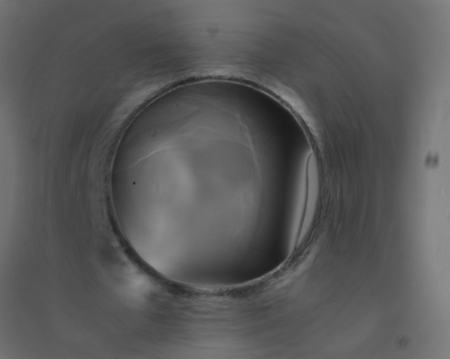 X0000094910577200712131455