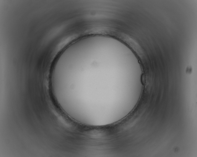 X0000094910578200712131455