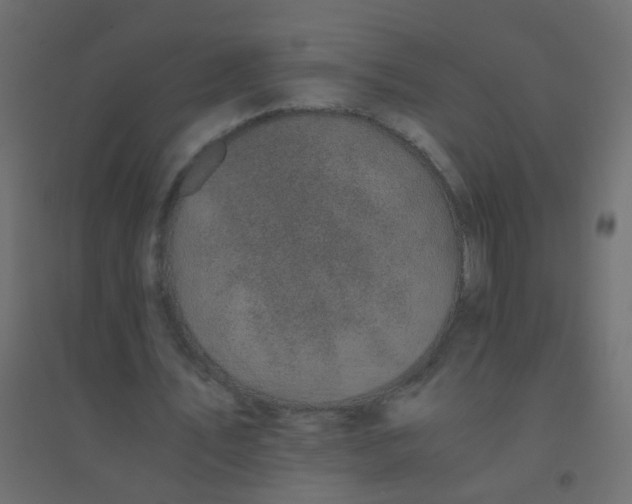 X0000094910579200712131455