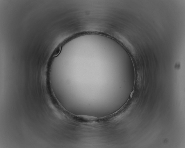 X0000094910580200712131455
