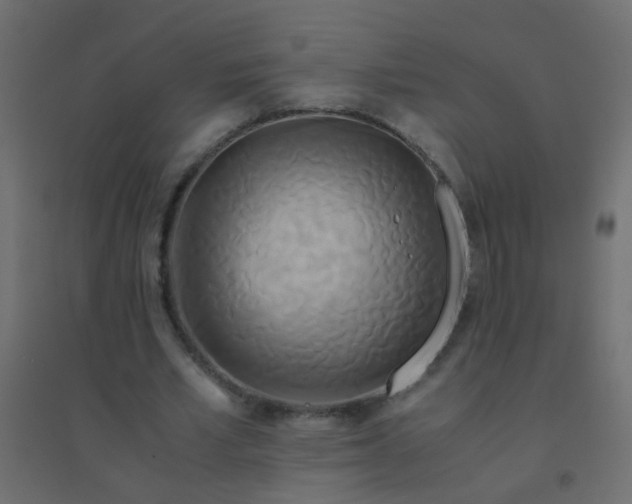 X0000094910581200712131455
