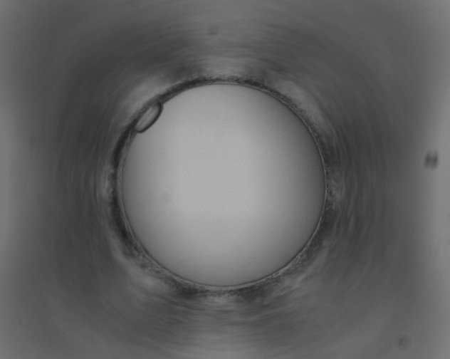 X0000094910583200712131454