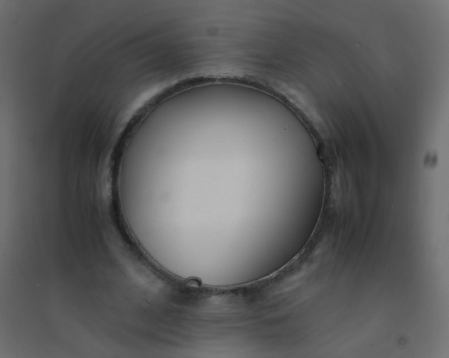 X0000094910584200712131454