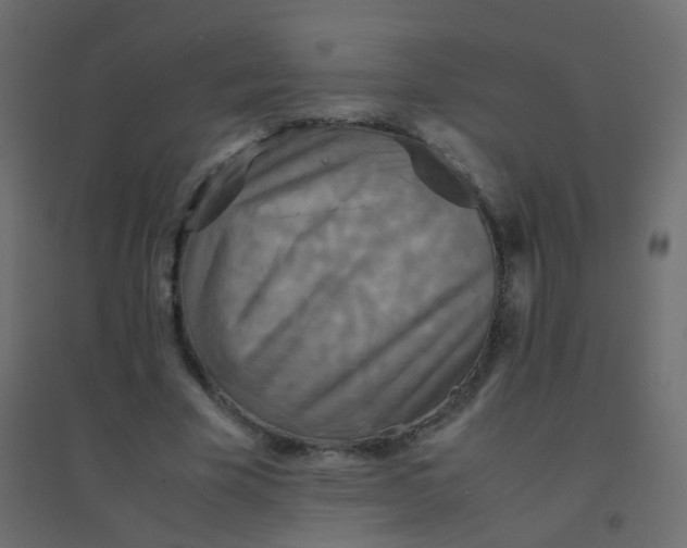 X0000094910585200712131454