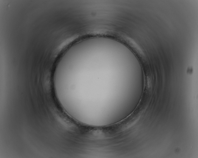 X0000094910588200712131454