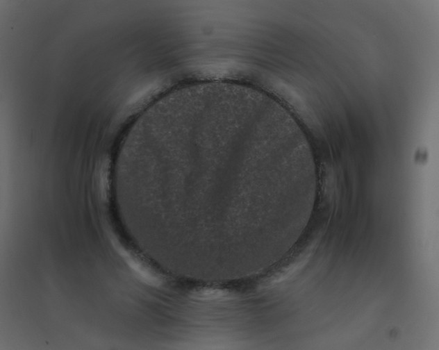 X0000094910590200712131454