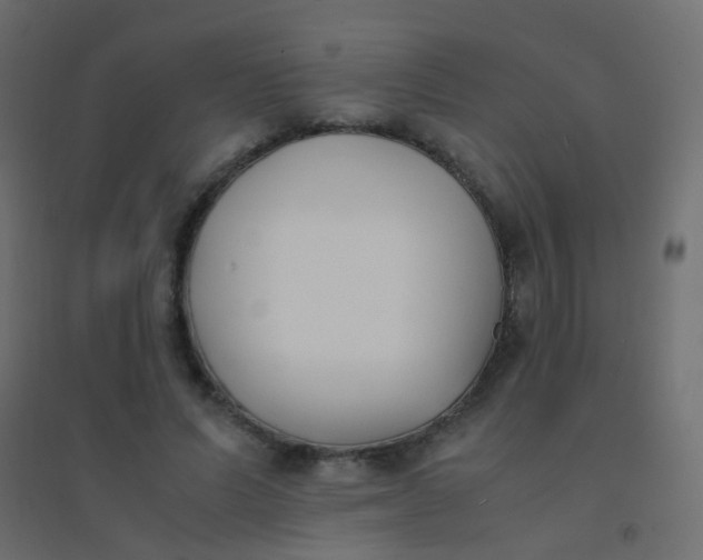 X0000094910591200712131454
