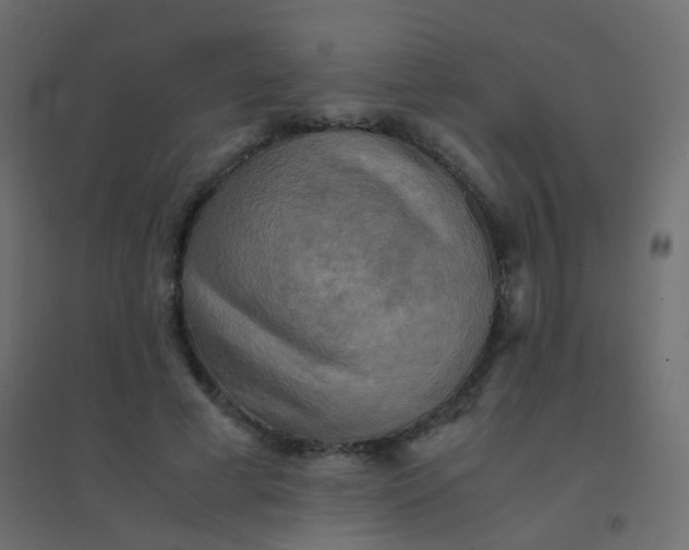 X0000094910593200712131454