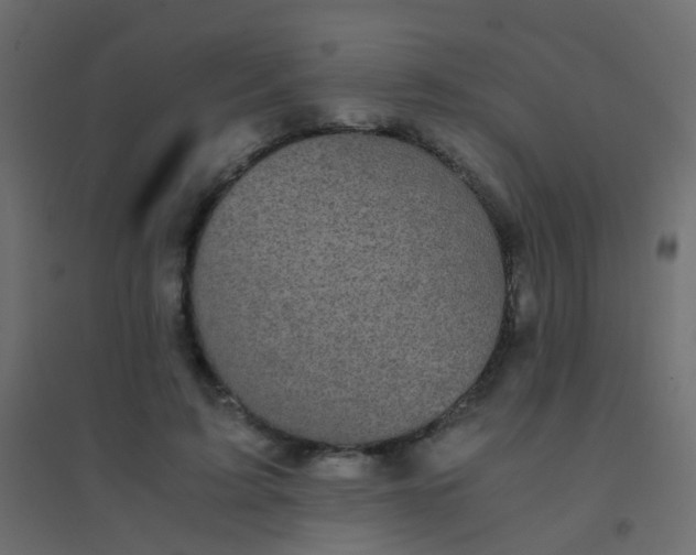 X0000094910595200712131454