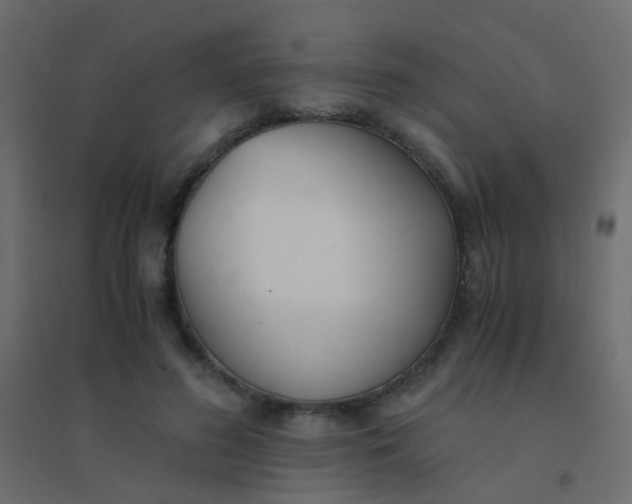X0000094910596200712131454