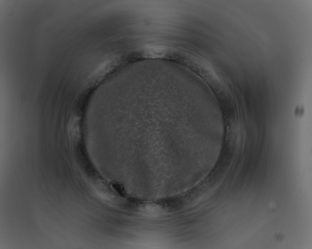 X0000094910598200712131454