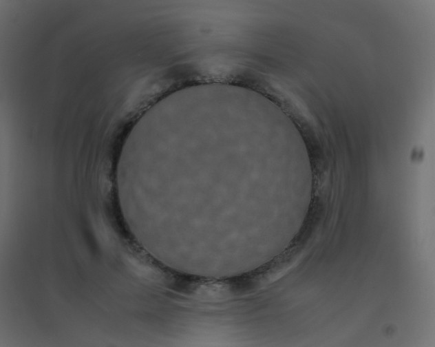 X0000094910599200712131454