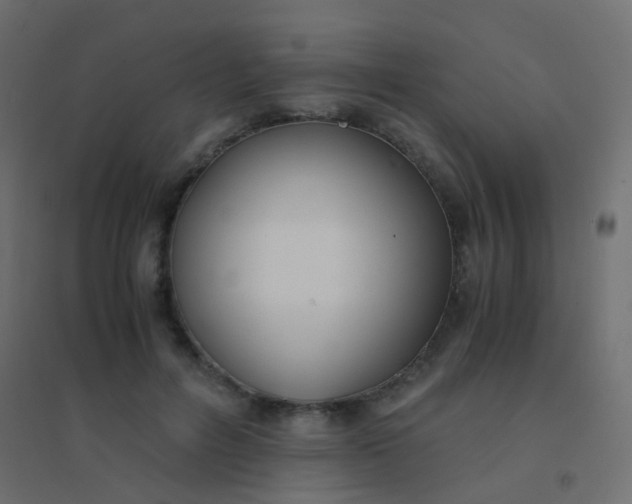 X0000094910600200712131454
