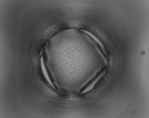X0000094910601200712131454