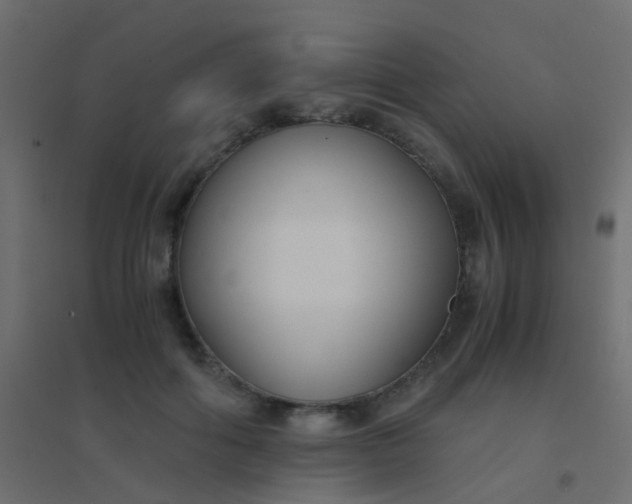X0000094910602200712131454