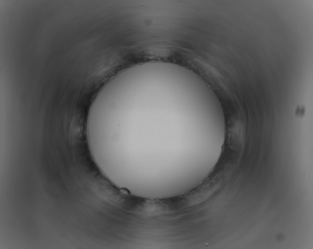X0000094910608200712131454