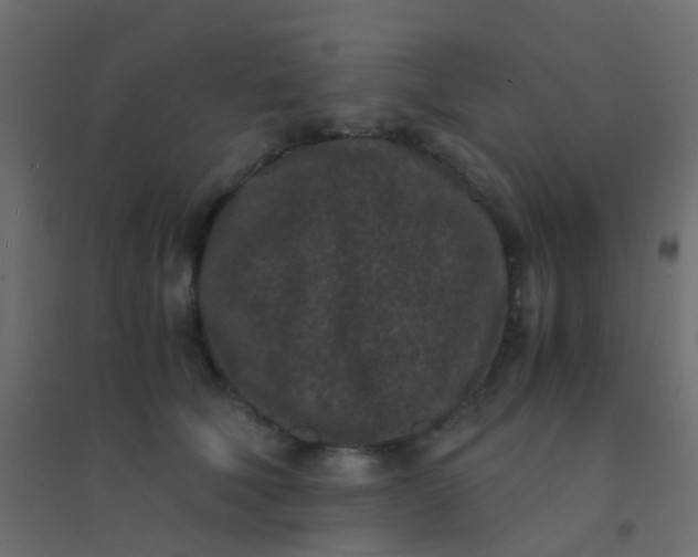 X0000094910610200712131454