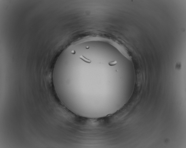 X0000094910613200712131454