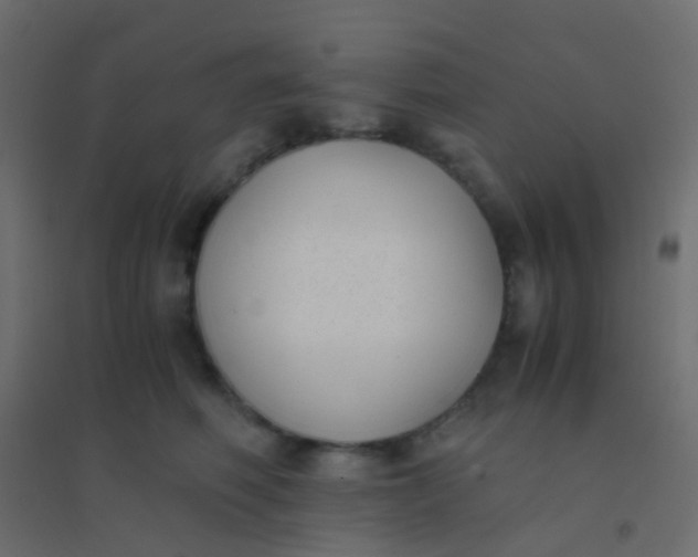 X0000094910614200712131454