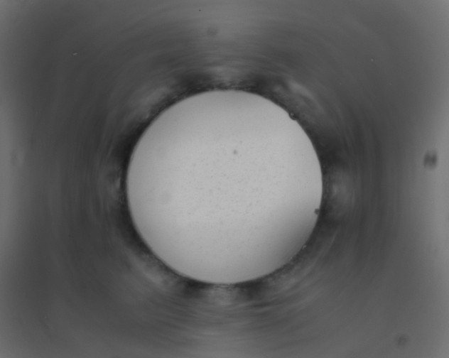 X0000094910615200712131454