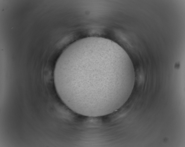 X0000094910619200712131454