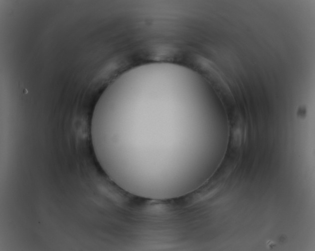 X0000094910620200712131454