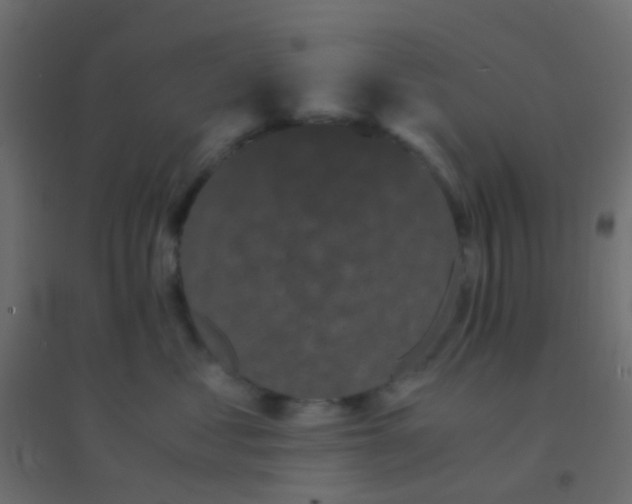 X0000094910621200712131454