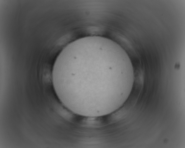 X0000094910622200712131454