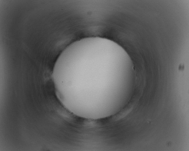X0000094910624200712131454