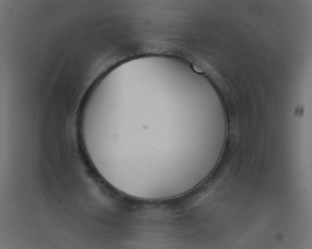 X0000094910626200712131453