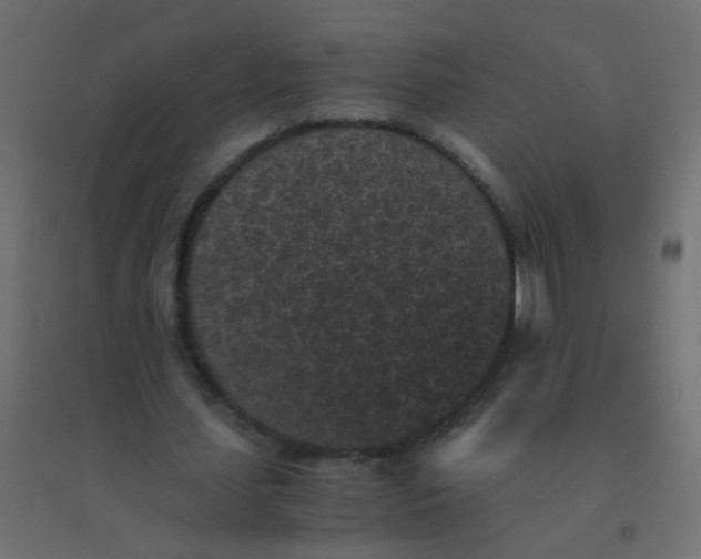 X0000094910627200712131453