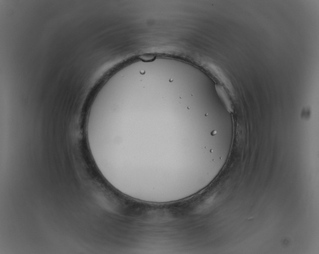 X0000094910628200712131453
