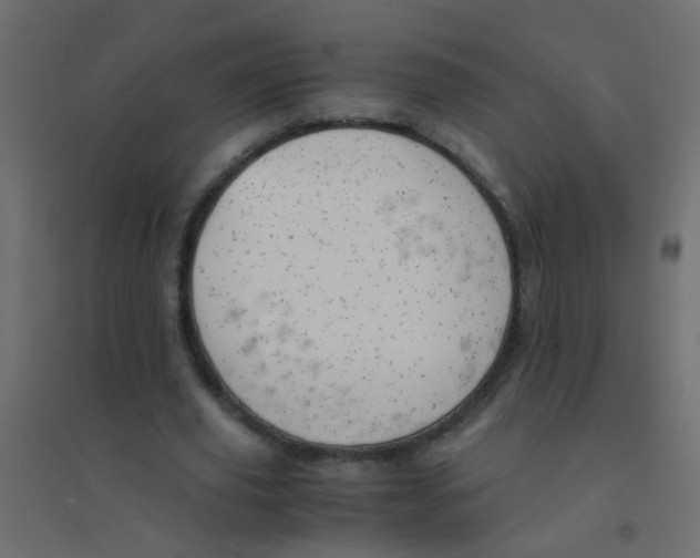 X0000094910629200712131453