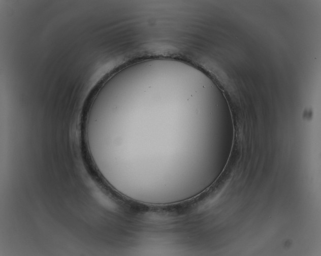 X0000094910630200712131453