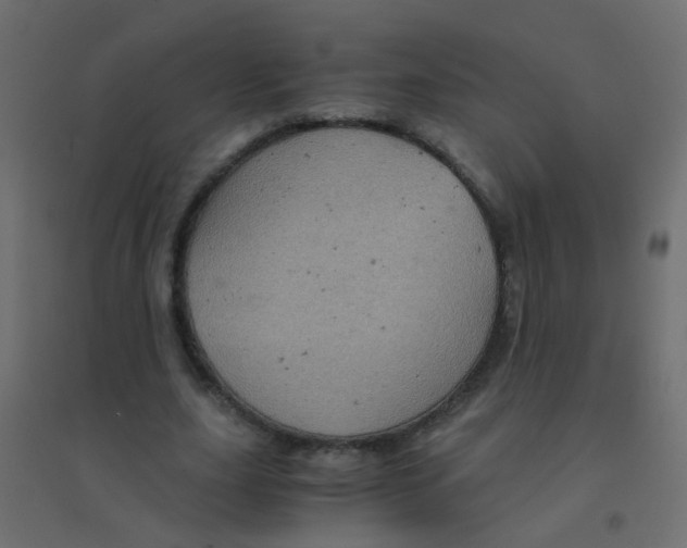 X0000094910631200712131453