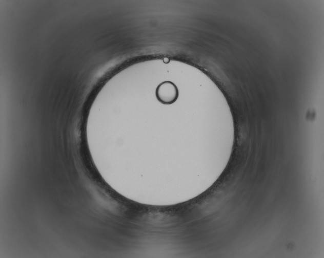 X0000094910632200712131453