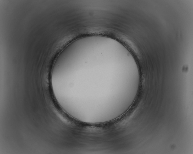 X0000094910633200712131453
